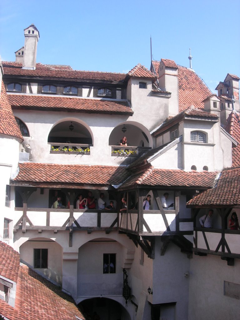 Bran Castle,Romania by maytrey