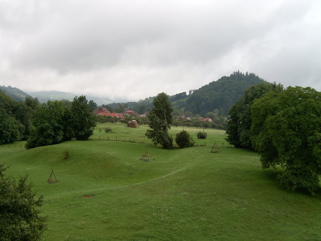 Predeluț, România by musca.ro by www.camin-pentru-batrani.ro