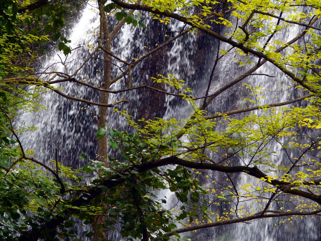 Acque e foglie - Waters and leaves - Villa Gregoriana - Tivoli (Lazio - Italy) by Antonio Passaseo