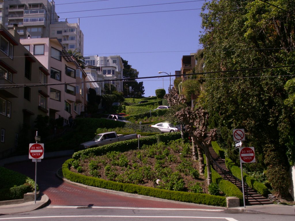 The crookedest street, San Francisco by niitsoo