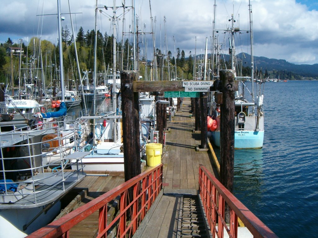 Government Wharf by sunriver