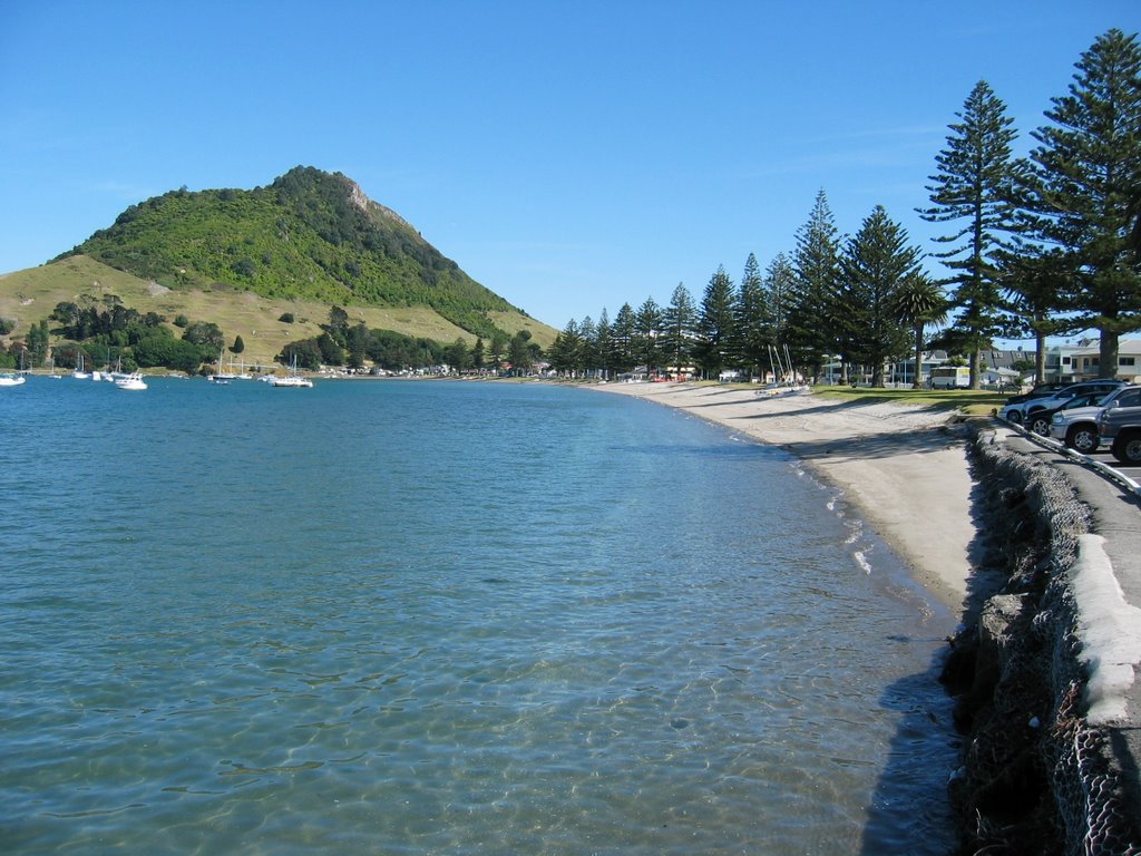 Pilot Bay Mount Maunganui by Alan Carter