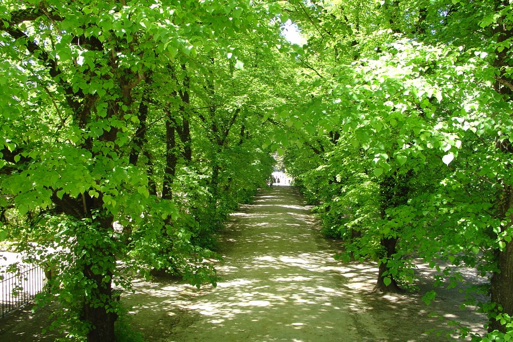 Jardim Botânico ( Coimbra ) by baionense