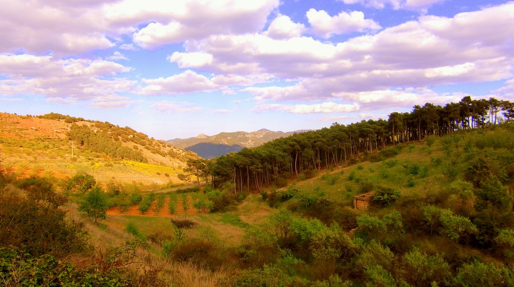 Paisaje de Abril en El Frasno by P. Sanjuan