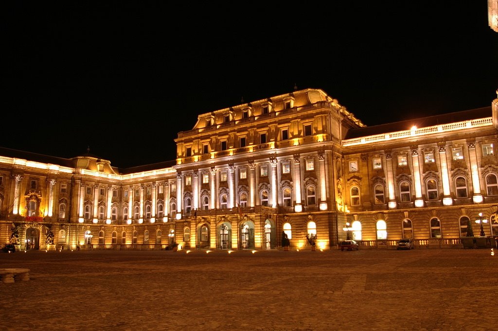 A Széchenyi Könyvtár épülete - building of National Széchenyi Library by -saca-