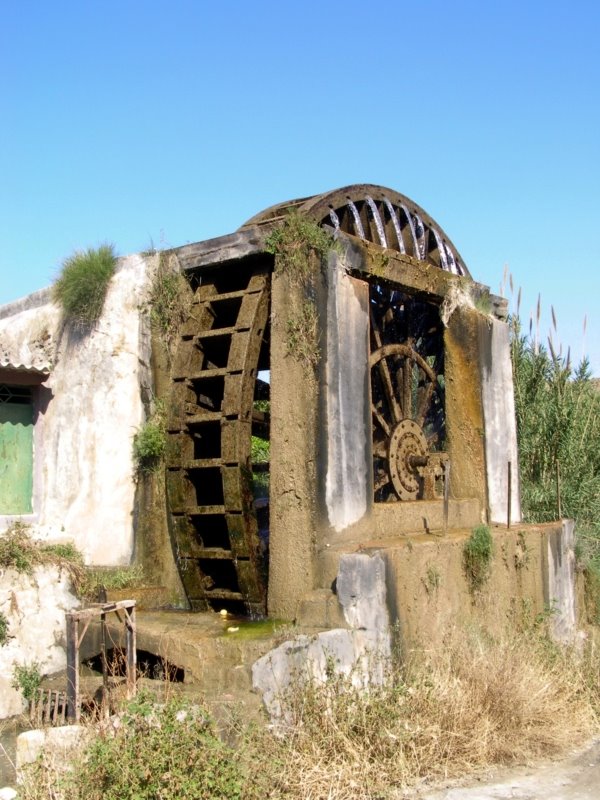 Noria de la Hoya de D. García-Abarán (murcia) by J.A. Ruiz Peñalver