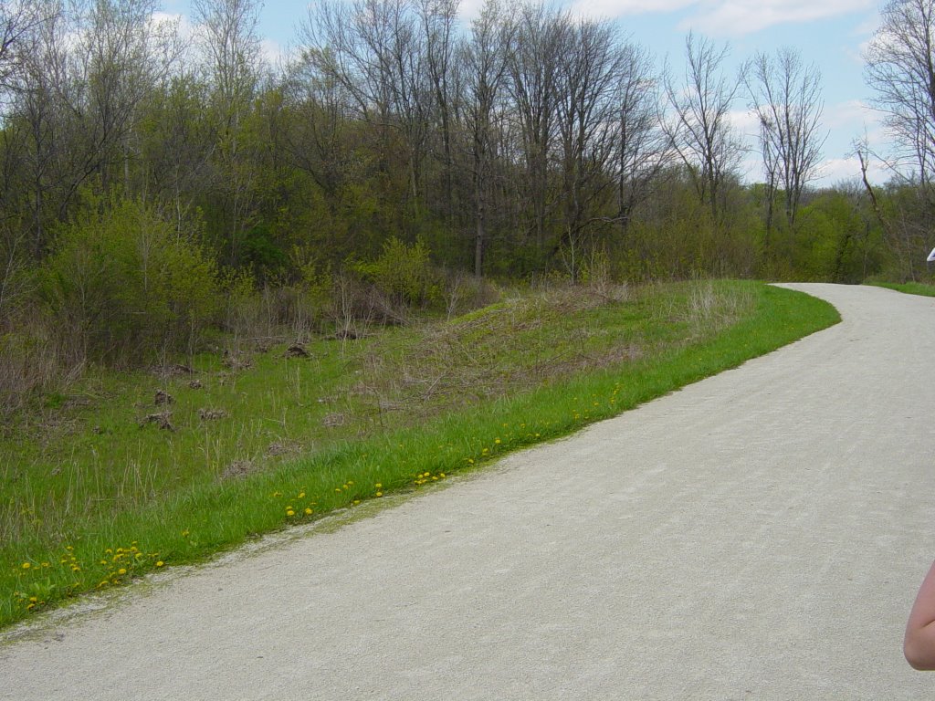 Meachum grove forest preserve by Heather Gruber