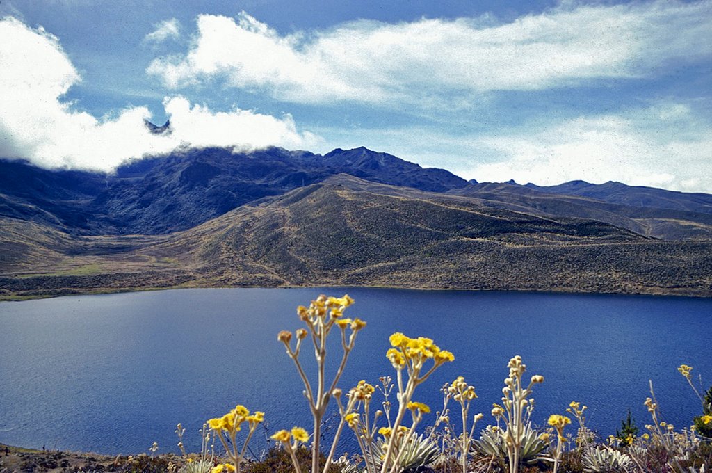 Laguna de Mucubají (1978) by bp_meier