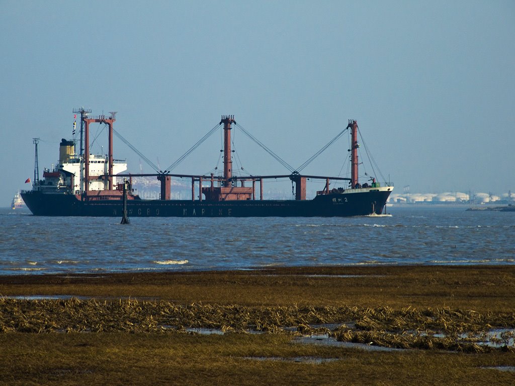 Ship entering Huangpu River as seen from Paotaiwan Wetland Park by Moqing Zhu