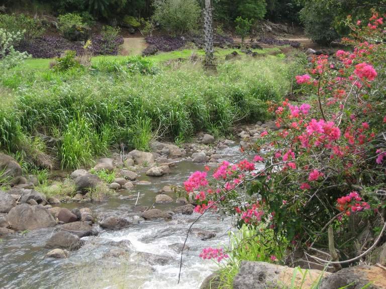 Waimea river by enrico massaro