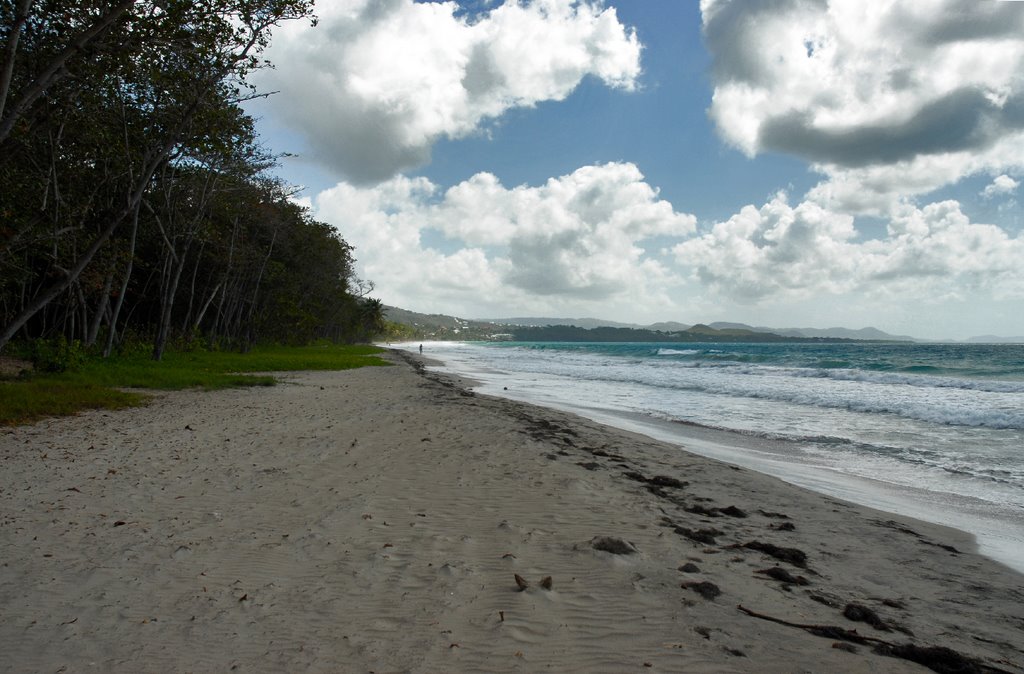 La Martinique: Le Diamant by Jean HIBLOT