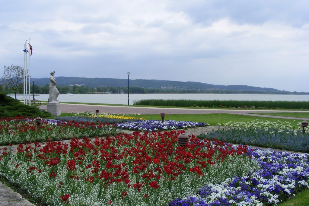 Balaton by Imre Braun