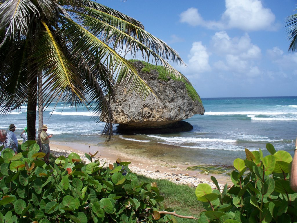 Near Bathsheba by Bill Grant