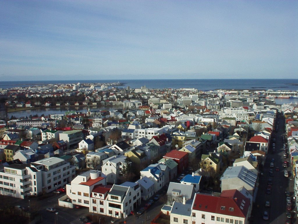 Reykjavik view from chuch tower by mrhuston