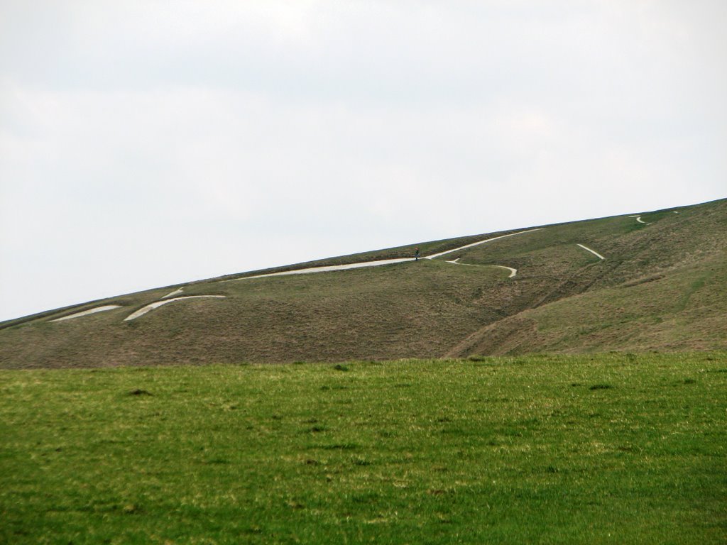 Uffington white horse by bmalchi