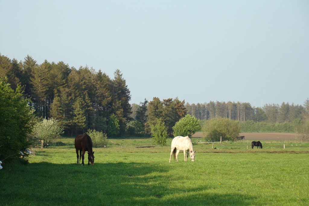 Perbøl by papkassen