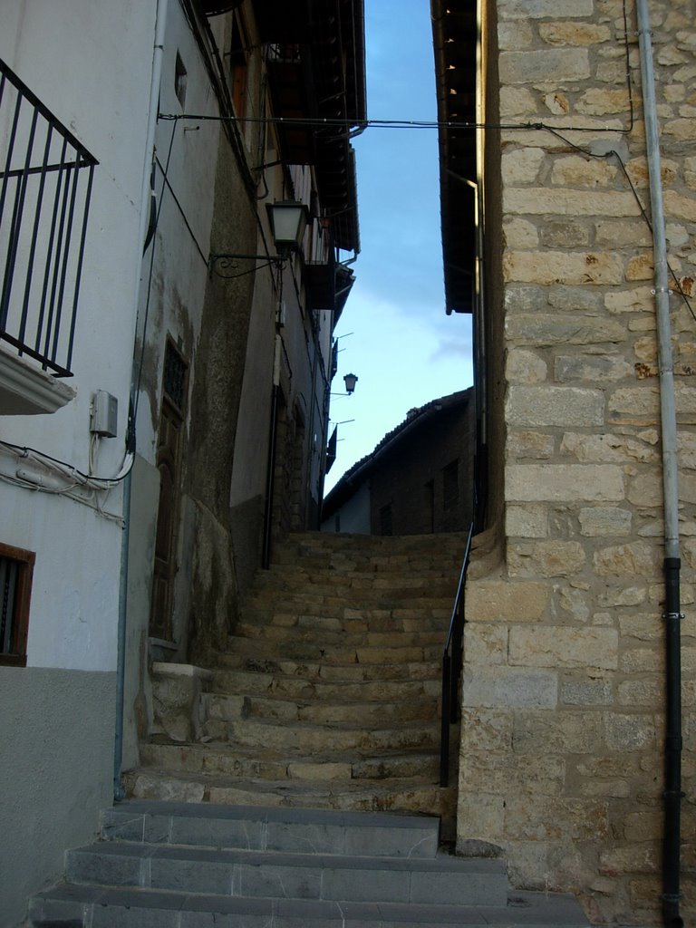 Morella by batachas