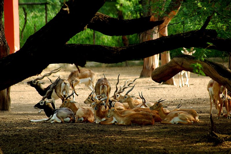 Pragati Maidan, New Delhi, Delhi, India by AdeeR