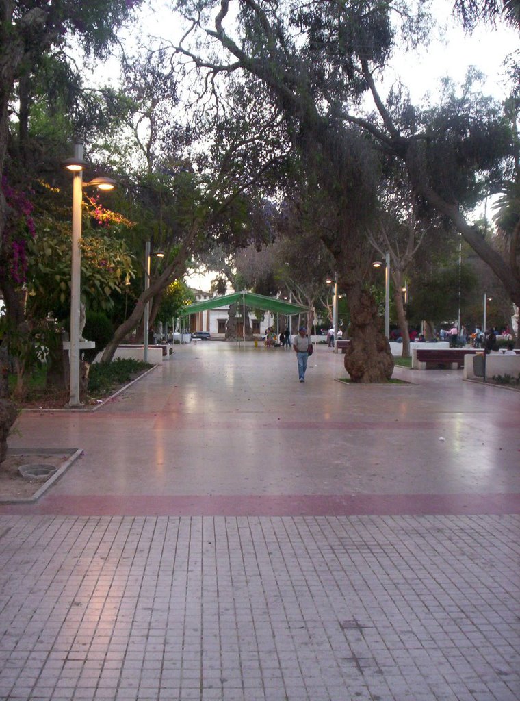 Plaza de Armas. Copiapó. by Jeancm2