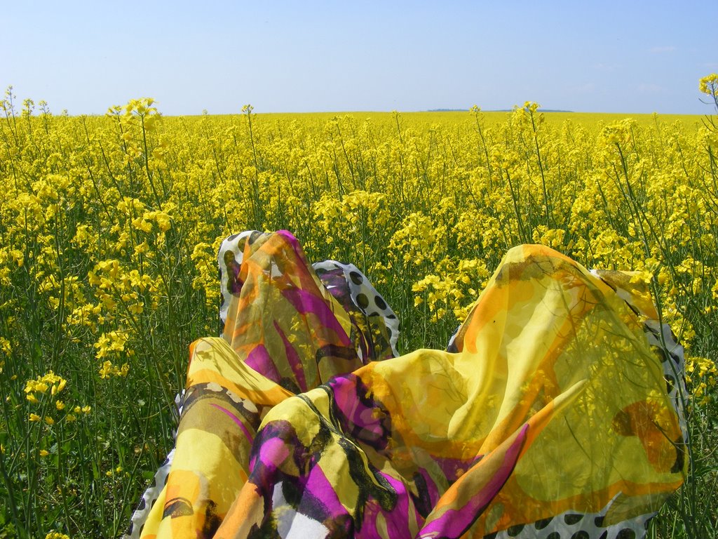 Múcsony, Hungary by Tóthné Magdi