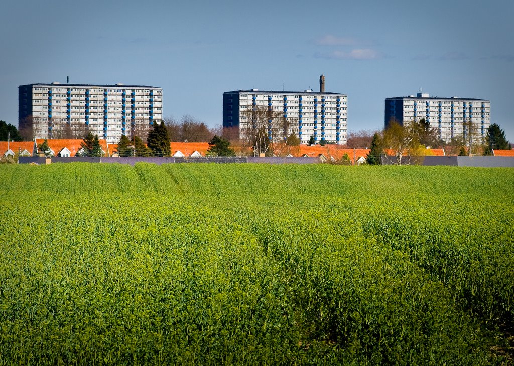 Sorgenfri hightowers by Peter Johansen