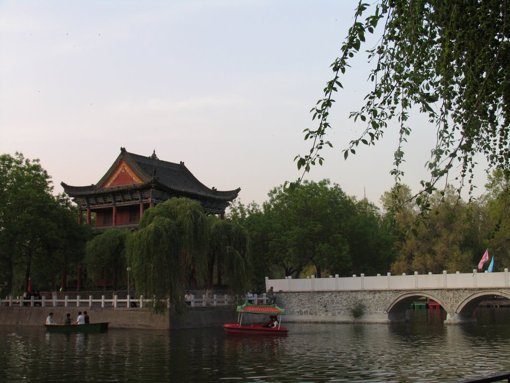 人民公园 , People's Park by 金宁Vincent King