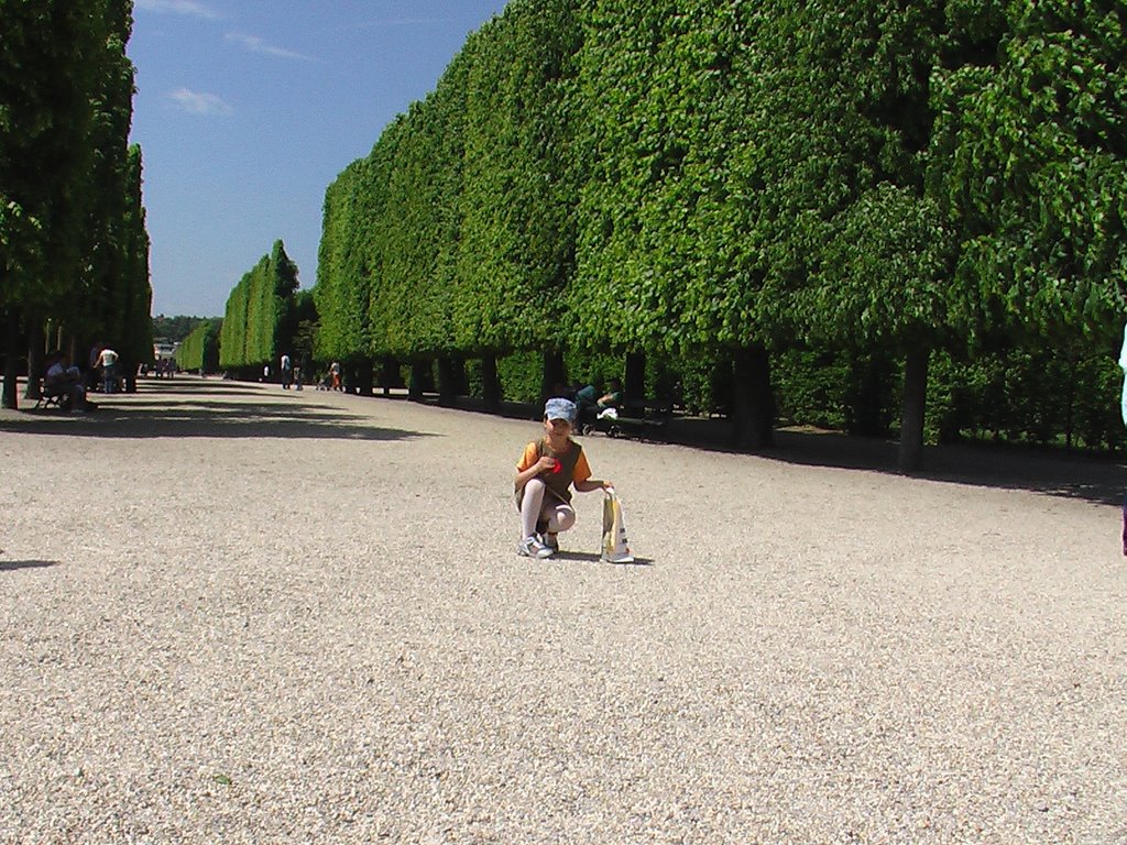 Gradinile castelului schombrunn by claudiu serbu