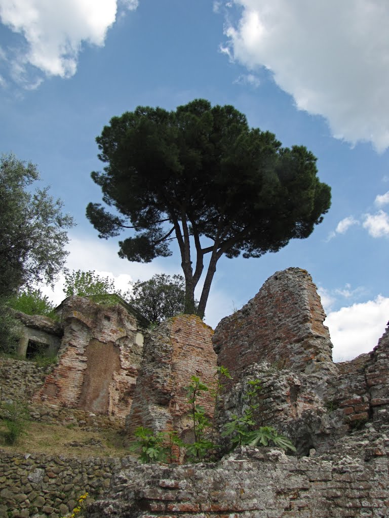 La villa romana di Massaciuccoli by kriszta13