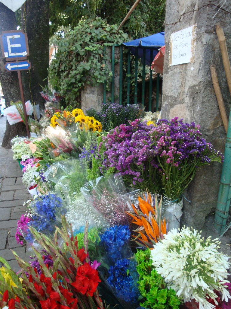 Colores y olores del valle de Bravo by Alejandro Guzmán Robles