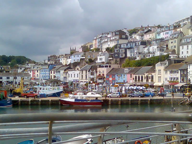 Brixham houses and harbour by Curtis Jones