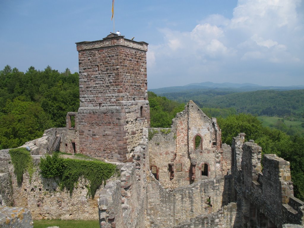 Burg Rötteln by Vidocx