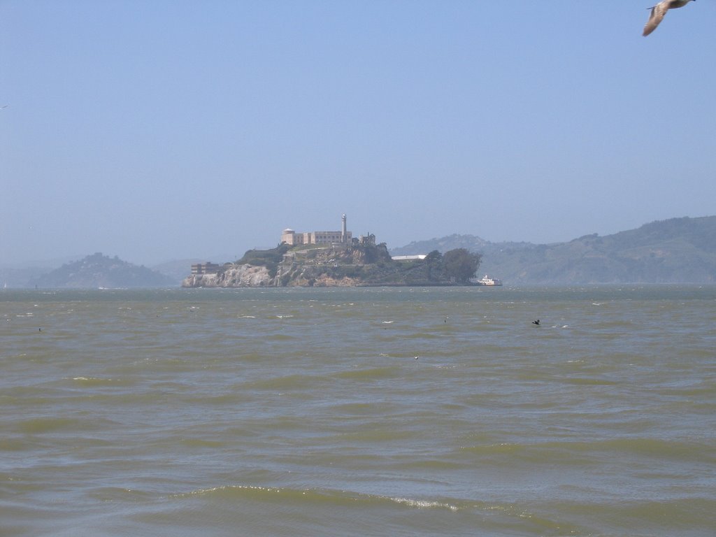 Alcatraz from fishman's warlf39 by CZ