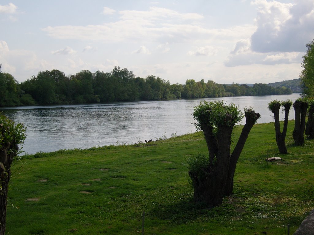 Vista la Seine by José Manuel Pinto