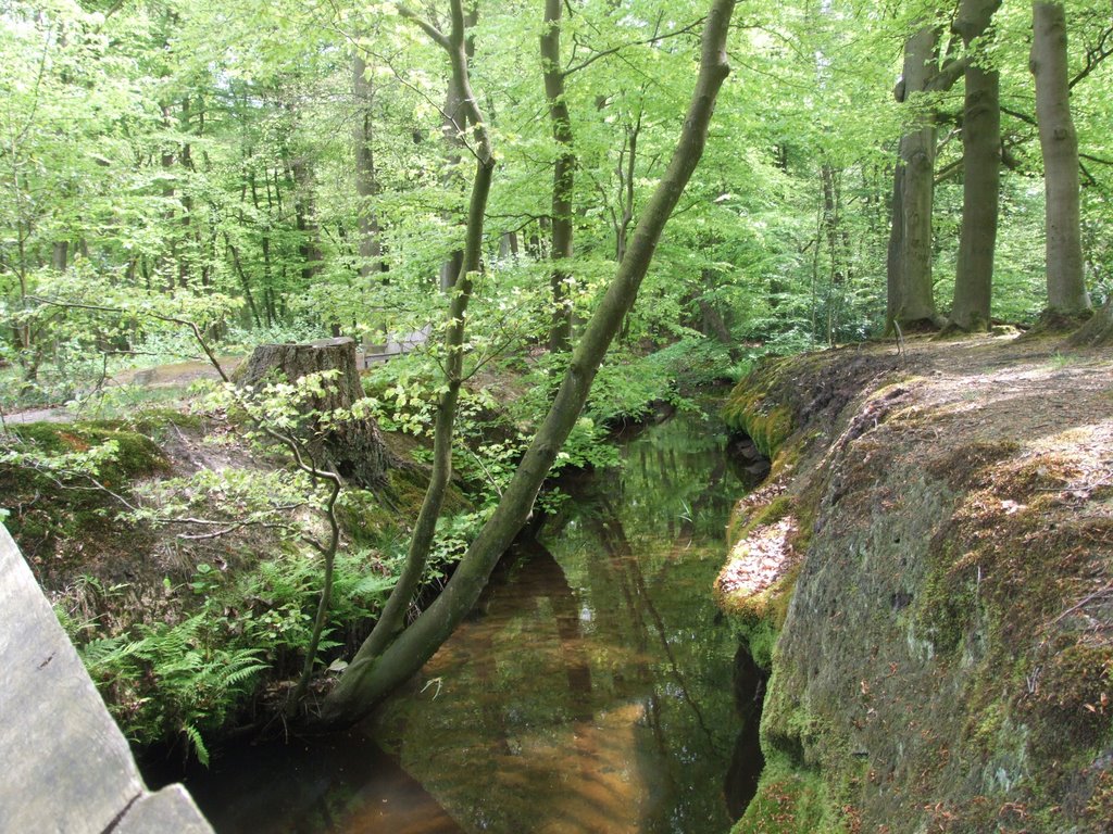 Leuvenumsche Beek by Peter van de Groep