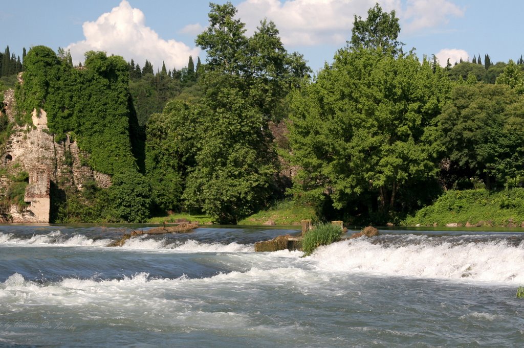 Mincio River 1- Valeggio VR - June 2008 by Giuliano da Zanche