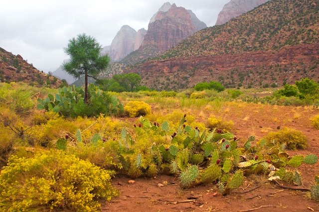 Washington County, UT, USA by HSanatinia