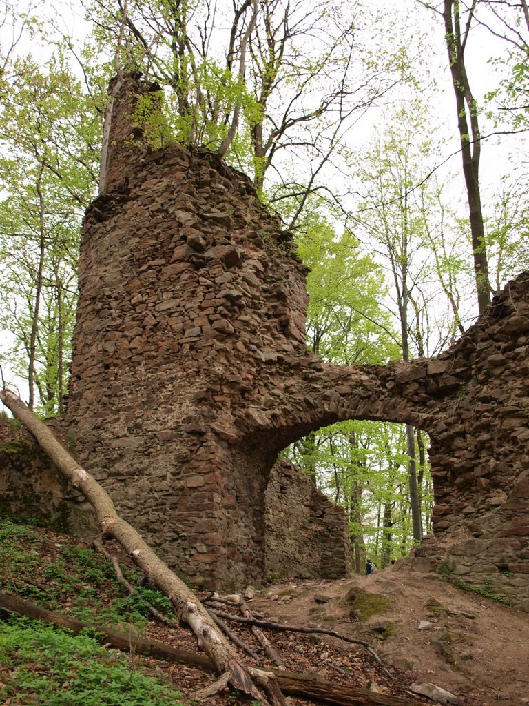 Zřícenina Oheb by Marquel