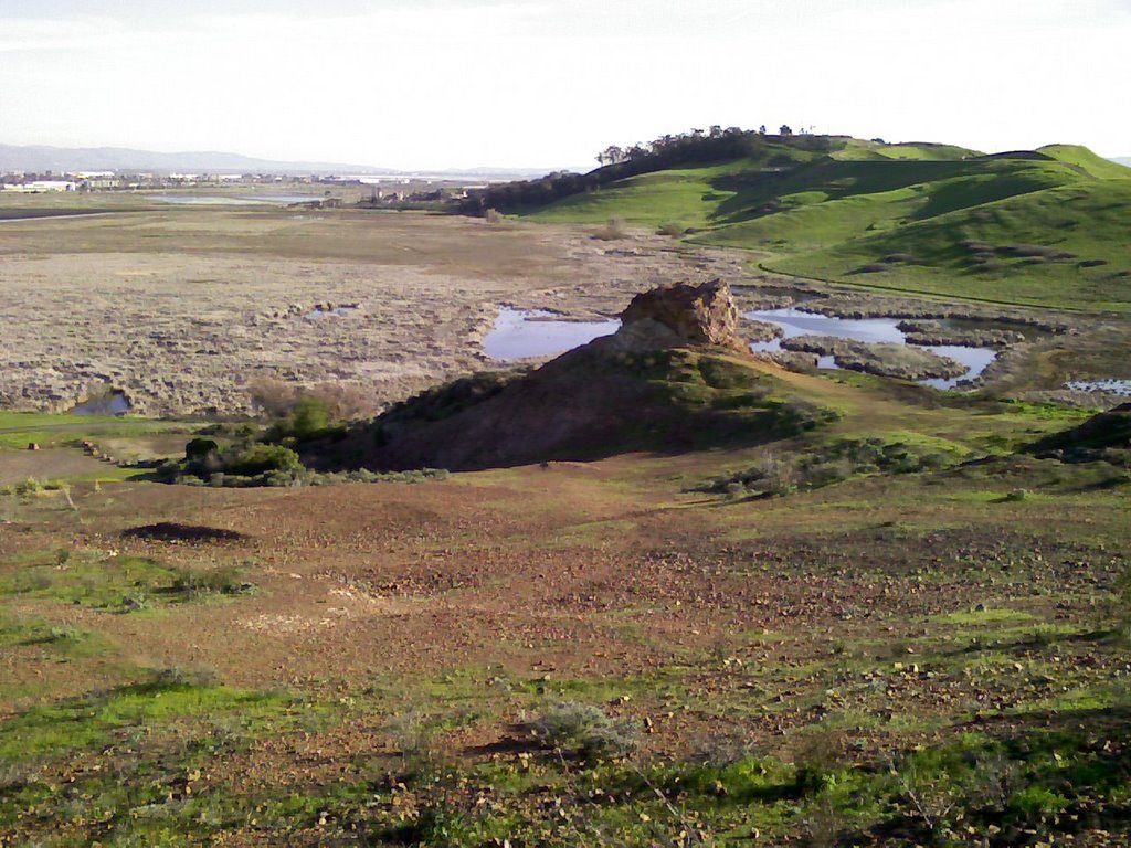 Coyote Hills by Yzingerr