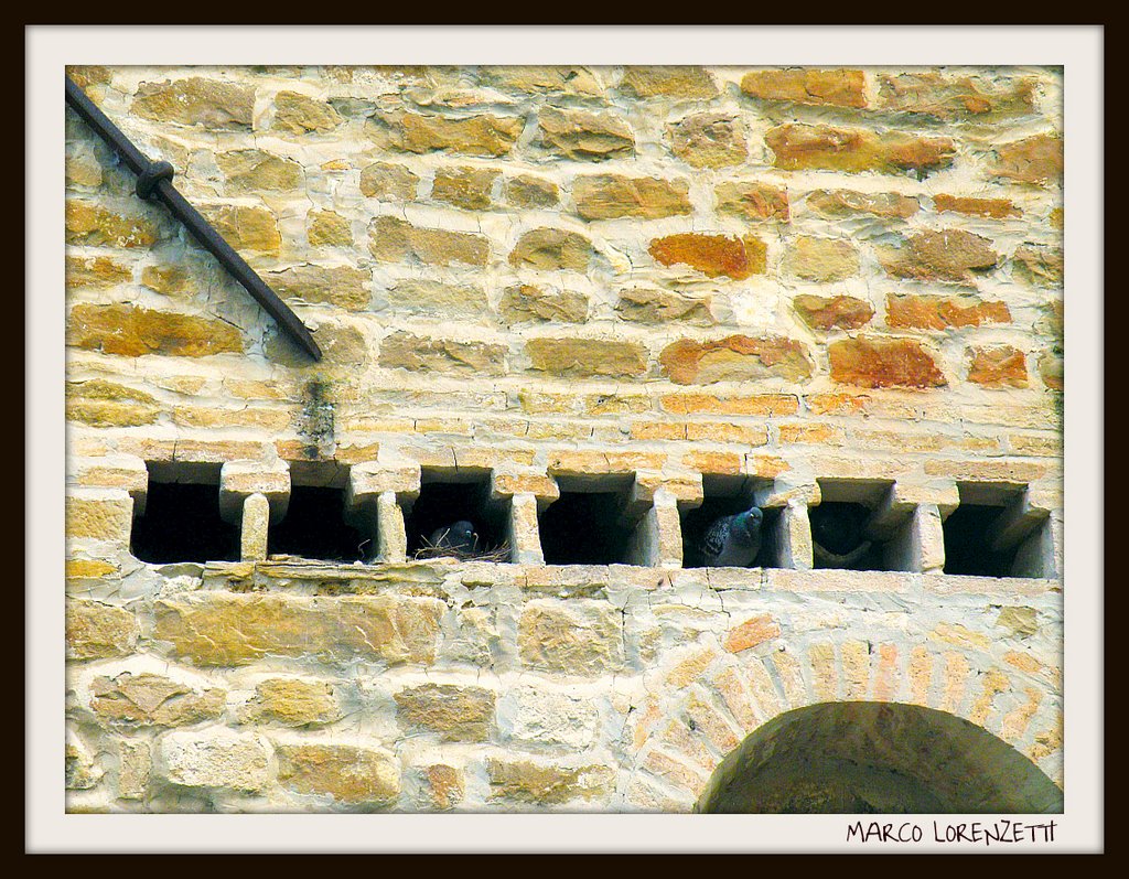 SERRA SAN QUIRICO (AN) - VILLETTE A SCHIERA PER PICCIONI (?) by Marco Lorenzetti