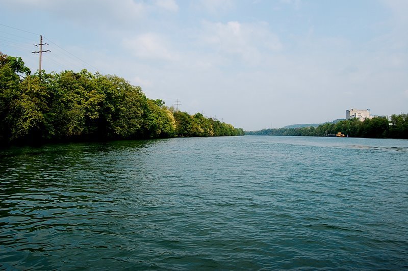 Rhine Beach by Sascha Tayefeh