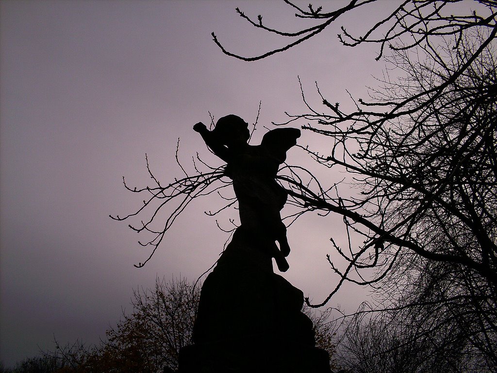 Gorton Cemetary by Andrew Lane