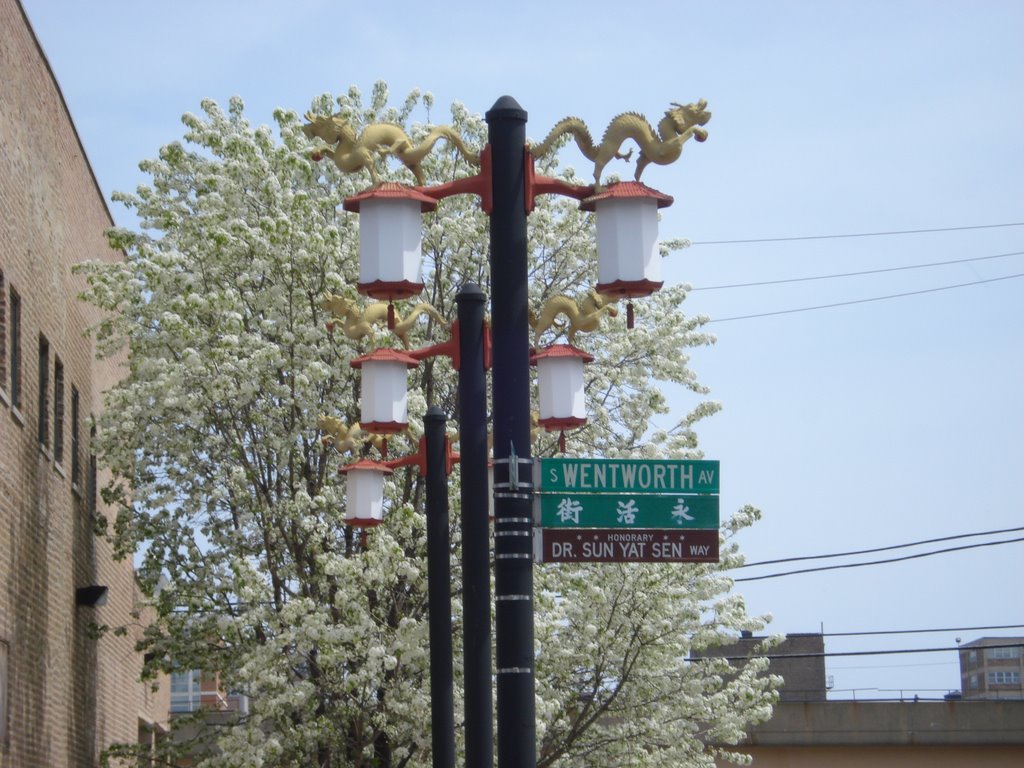 Street signs in chinese by ryguy3774