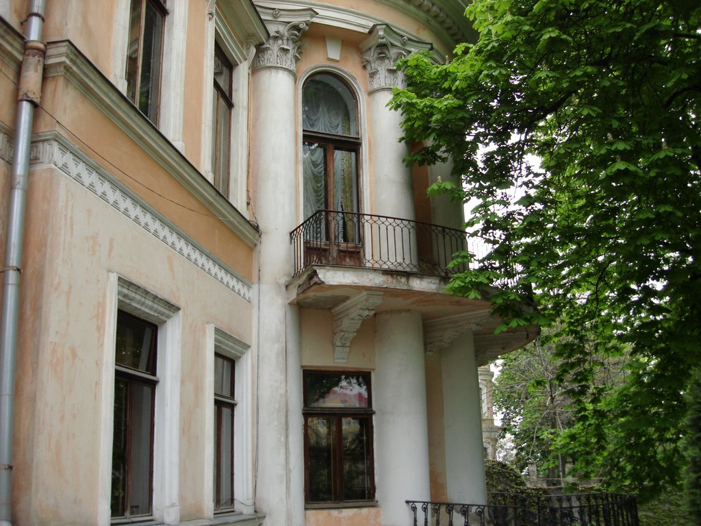 Odessa, House of Scientists by Krasnytsky