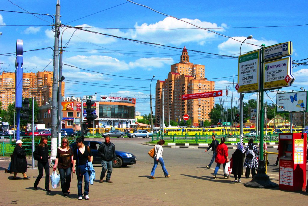 М.Кузьминки. Москва. Россия. by Oleg Yu.Novikov