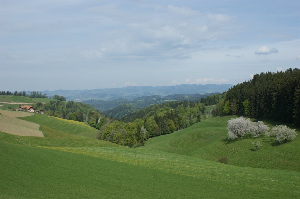 Vom Allenlüfter Richtung Osten by Luc D