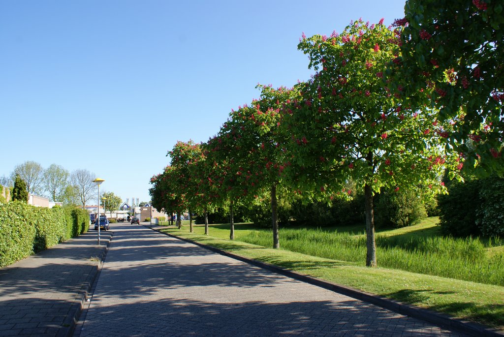 Lelystad chestnusts Tjalk by hvbemmel