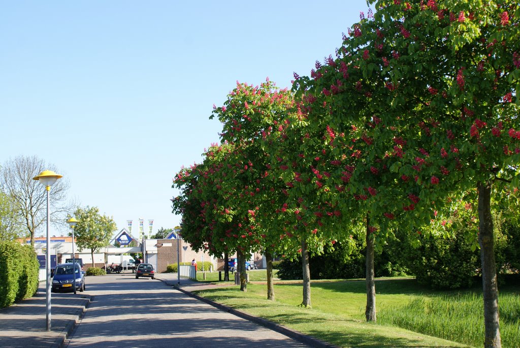 Lelystad chestnusts Tjalk by hvbemmel