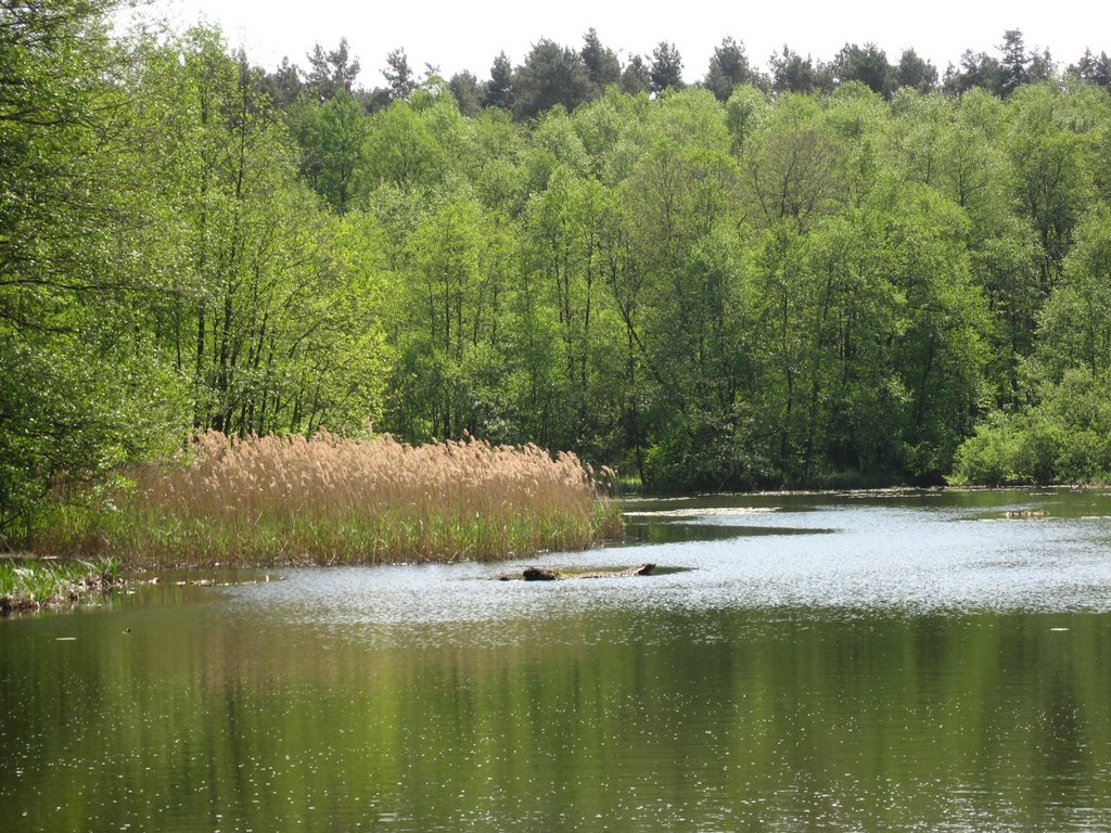 Schlaubetal bei Ragower Mühle by StOverkamp