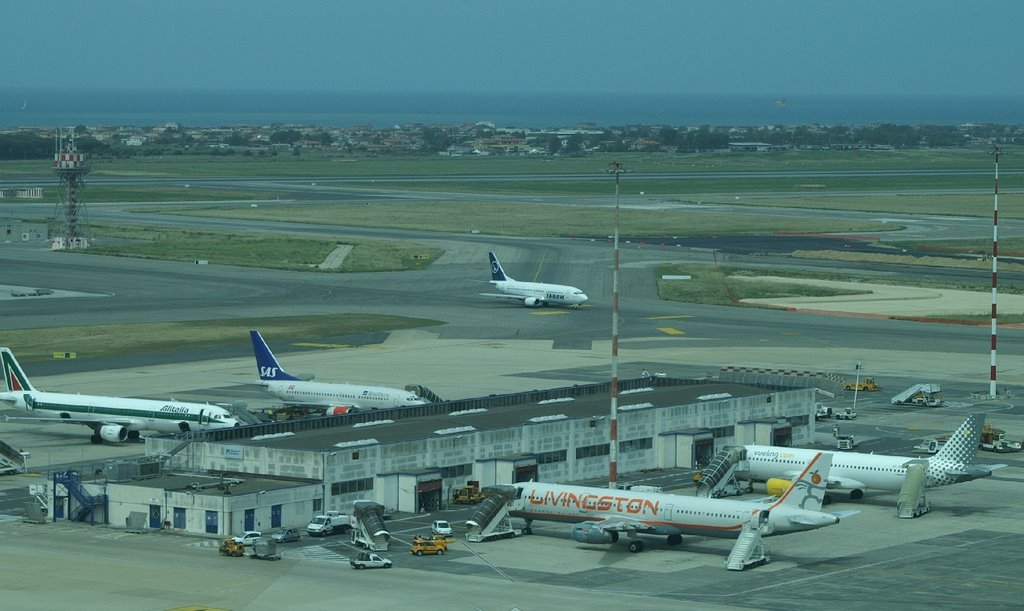 Tarom la Fiumicino by Radul