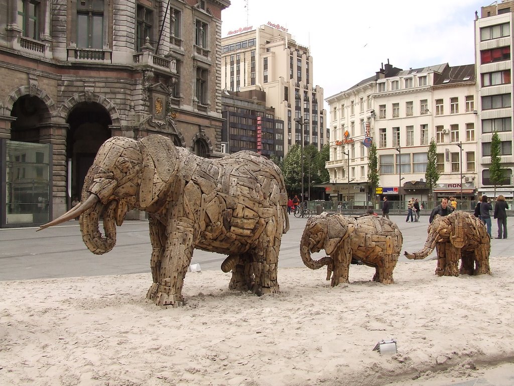 Elephants on the square in front of the central station by Tijs Dekker